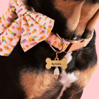 #Modeled by Anders (27lbs) in a Large pet ID tag