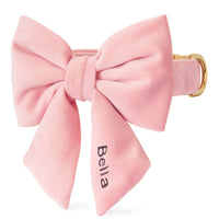 Blush Pink Velvet Lady Bow Collar from The Foggy Dog