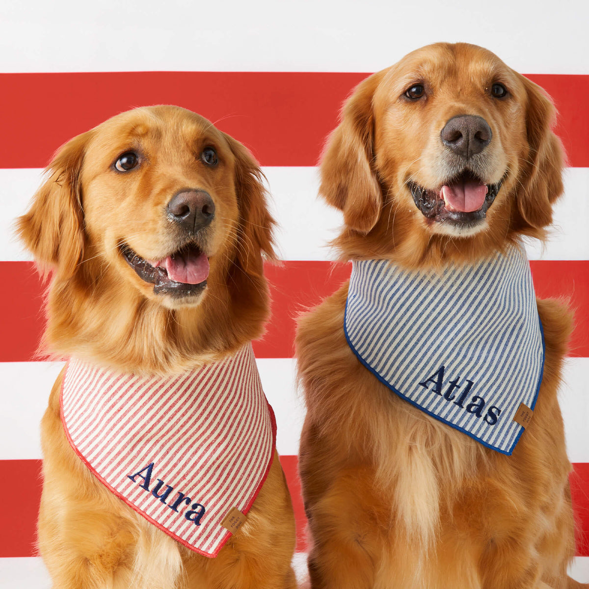 #Modeled by Atlas (75lbs) and Aura (65lbs) both in Large