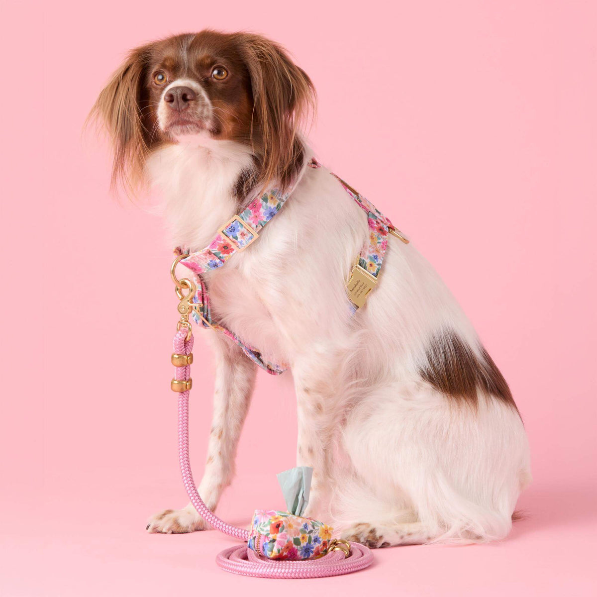 #Modeled by Ollie (20lbs) in Medium