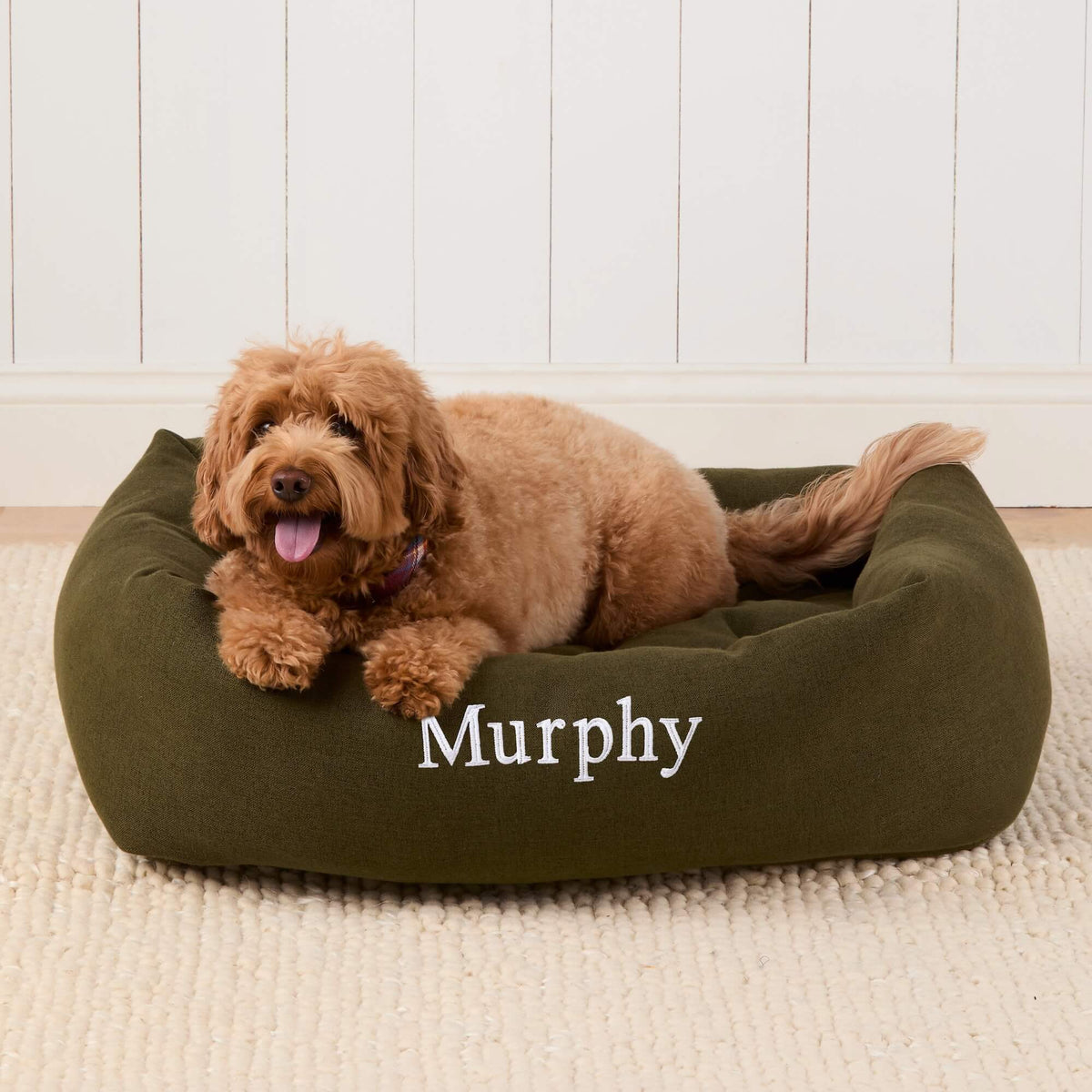 #Modeled by Poppy (20lbs) in Large