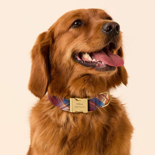 Marlow Plaid Flannel Dog Collar view 2