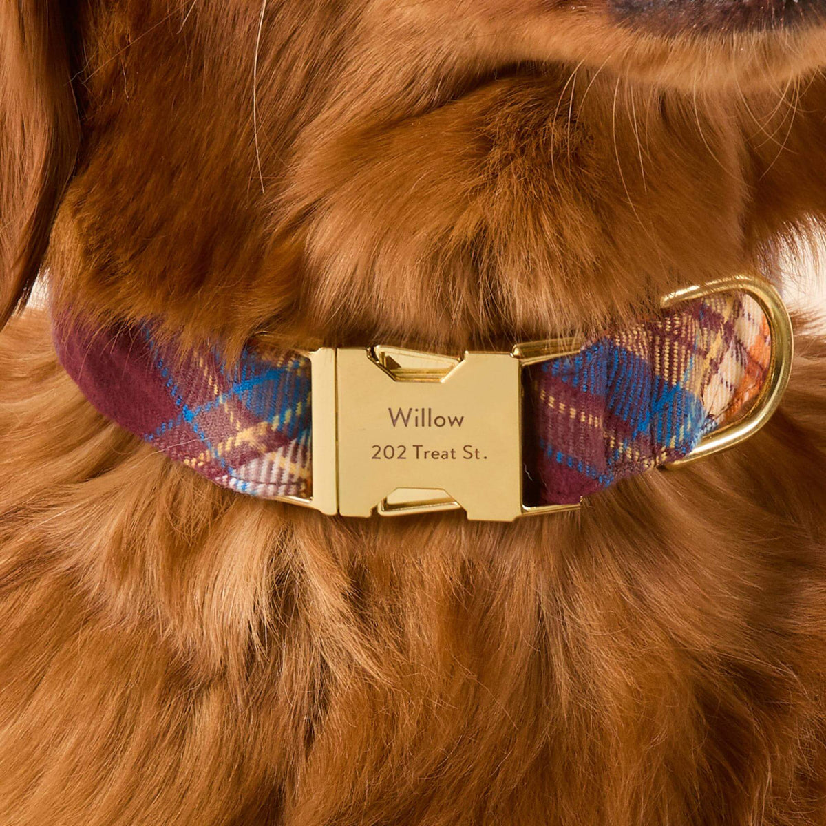 #Modeled by Pukalani (45lbs) in Medium