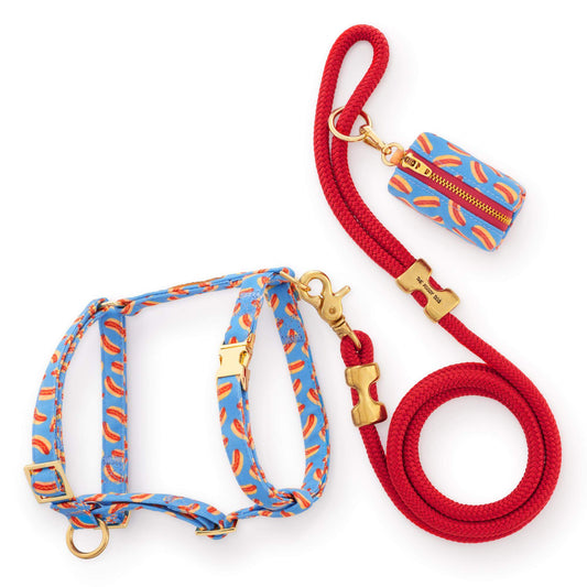 Hot Diggity Harness Walk Set view 1