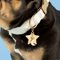 Moon Collar Charm from The Foggy Dog