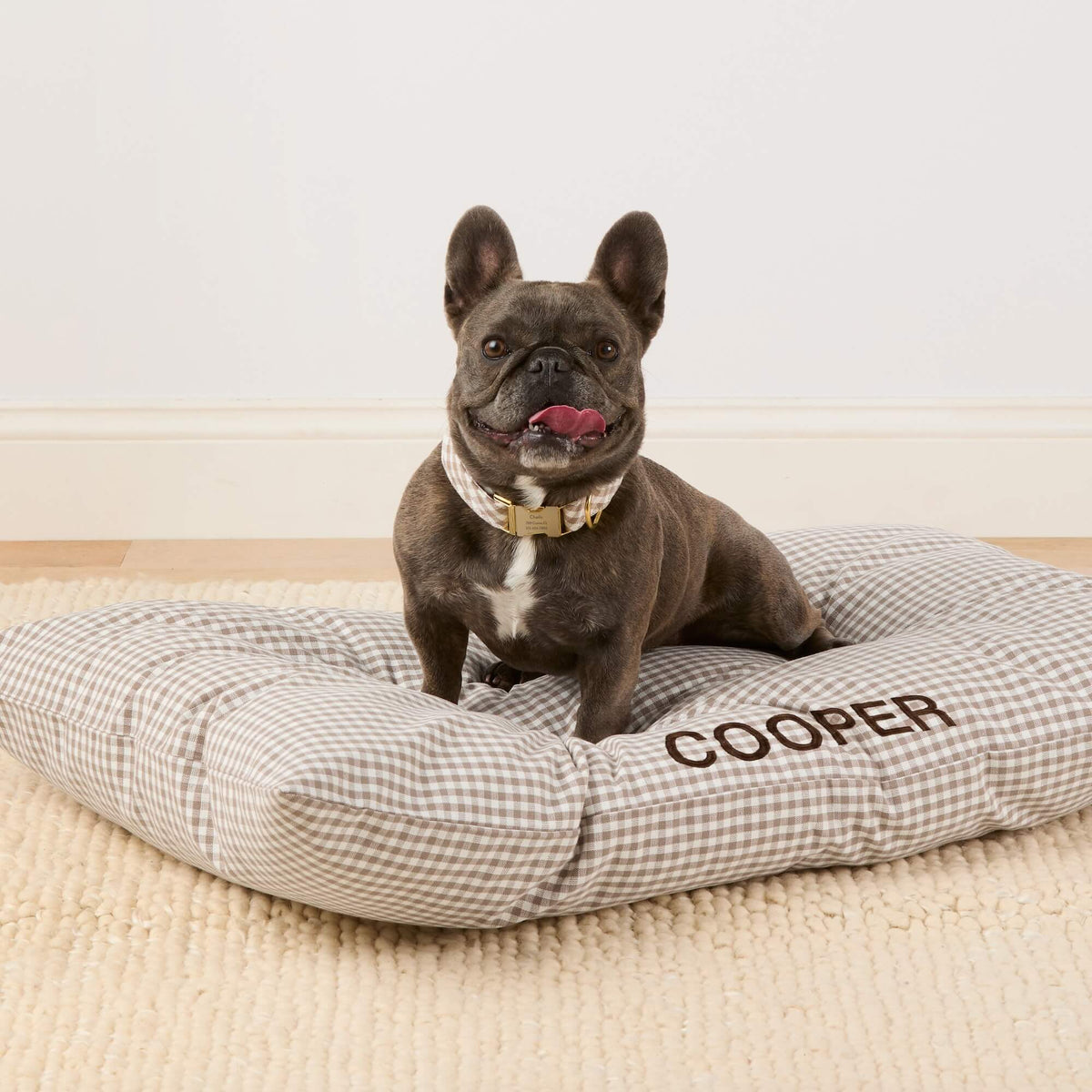 #Modeled by Kora (19lbs) on Large