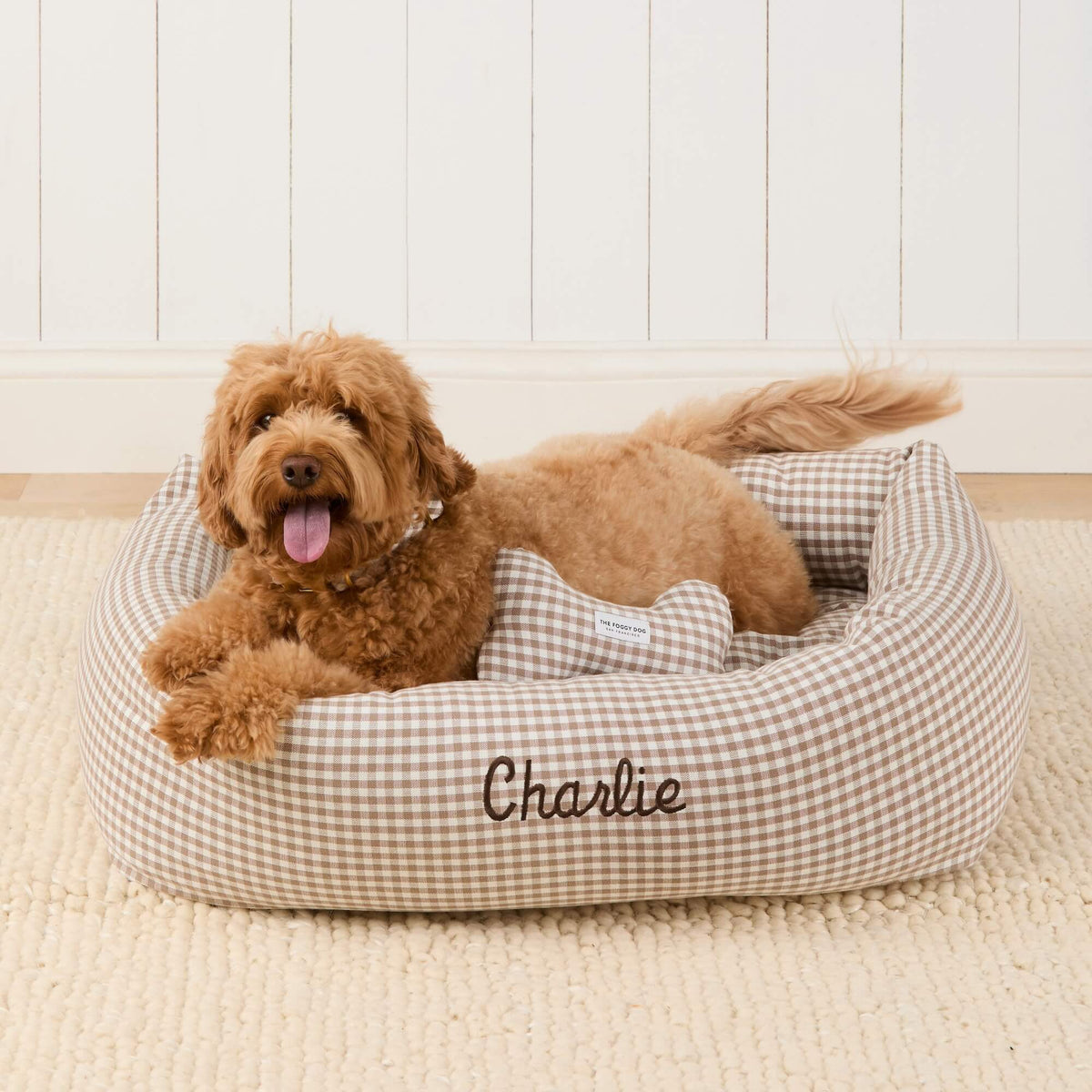 #Modeled by Poppy (20lbs) in Large