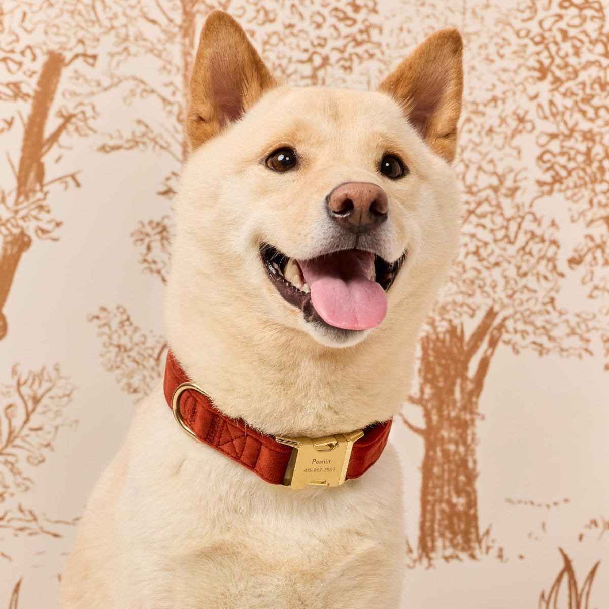 #Modeled by Dubu (29lbs) in Medium
