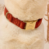 #Modeled by Dubu (29lbs) in Medium