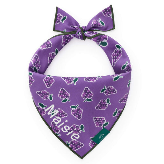OLIPOP x TFD Classic Grape Dog Bandana view 1