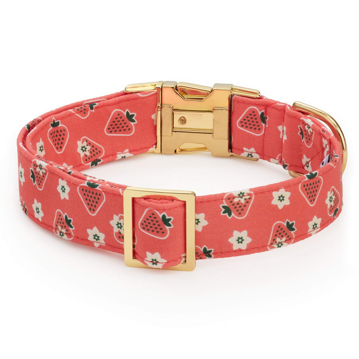 OLIPOP x TFD Strawberry Vanilla Dog Collar from The Foggy Dog