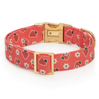 OLIPOP x TFD Strawberry Vanilla Dog Collar from The Foggy Dog