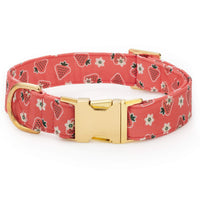 OLIPOP x TFD Strawberry Vanilla Dog Collar from The Foggy Dog