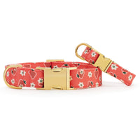 OLIPOP x TFD Strawberry Vanilla Dog Collar from The Foggy Dog