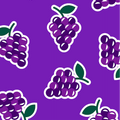 OLIPOP x TFD Classic Grape Dog Collar