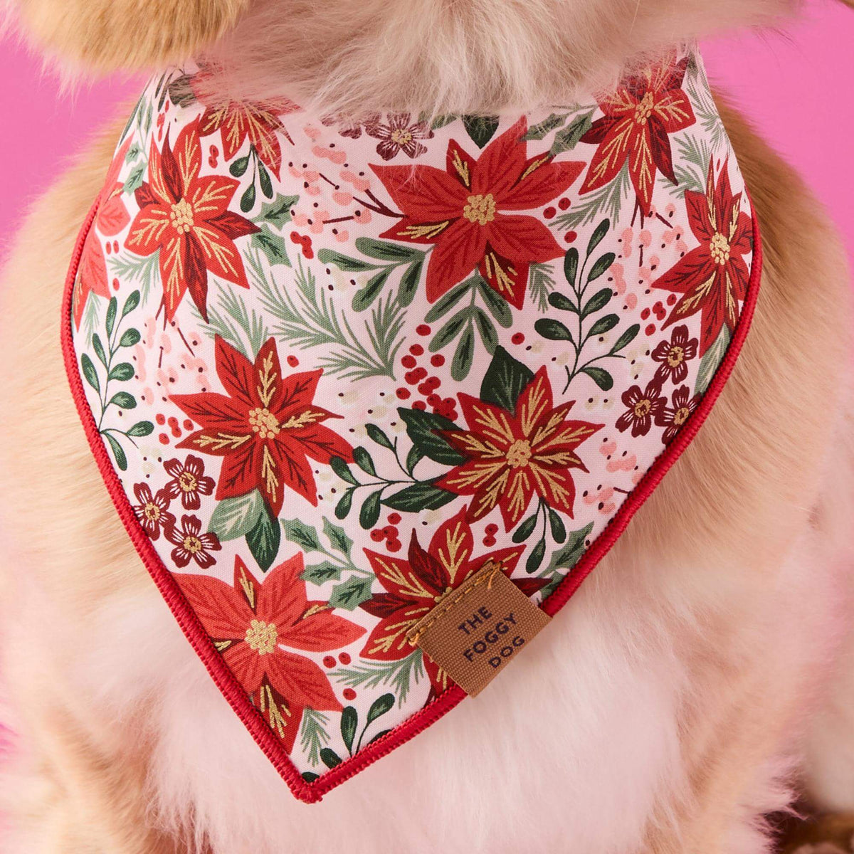 #Modeled by Finley (12lbs) in Small