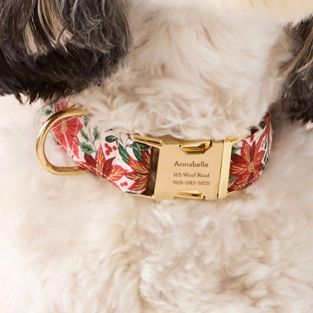 #Modeled by Reese (40lbs) in Medium