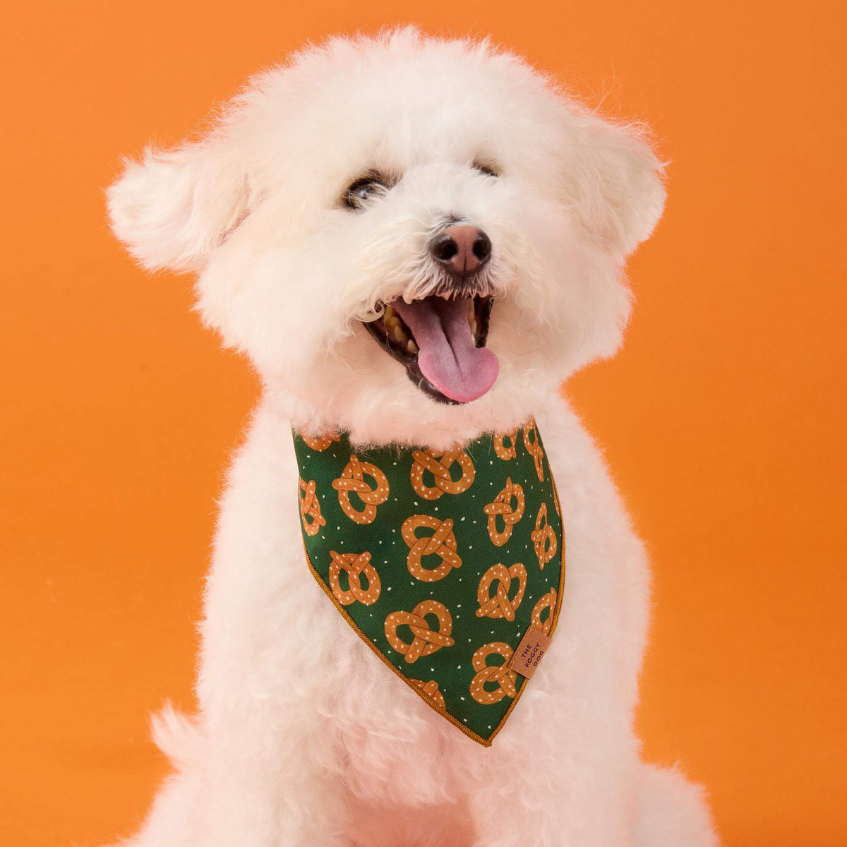 #Modeled by Mochi (14lbs) in Small