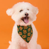#Modeled by Mochi (14lbs) in Small