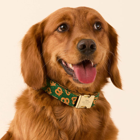 Pretzel Party Dog Collar view 2