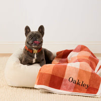 #Modeled by Kora (19lbs) in Large