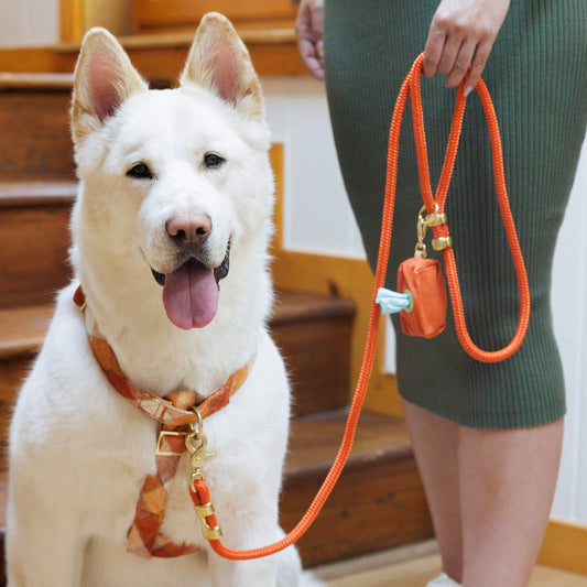Pumpkin Spice Plaid Flannel Harness Walk Set view 2