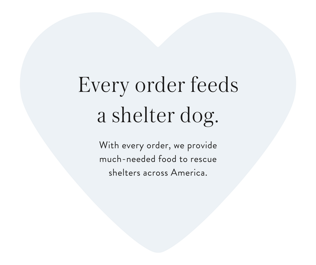 Every order feeds a shelter dog. With every order, we provide much-needed food to rescue shelters across America.