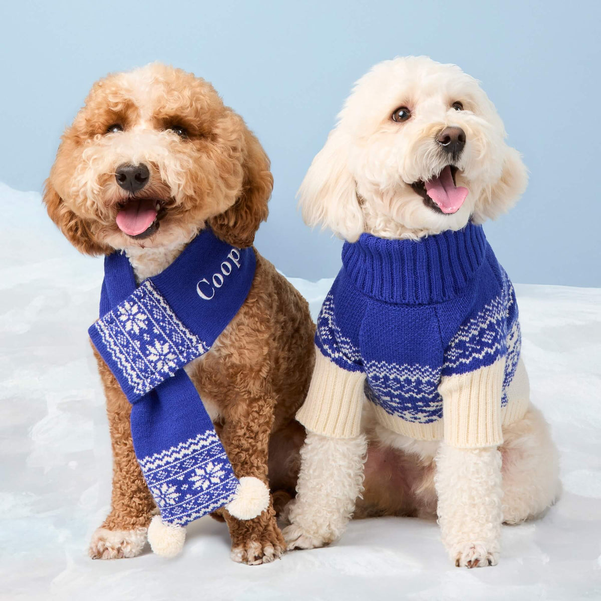 #Modeled by Teddy (18lbs) in Medium