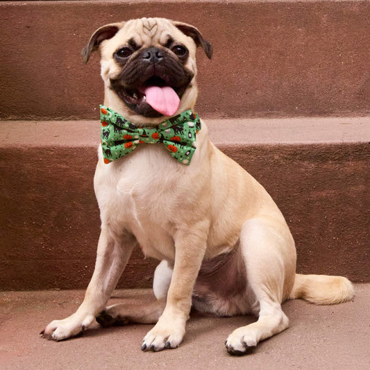 Spellbound Bow Tie Collar view 2