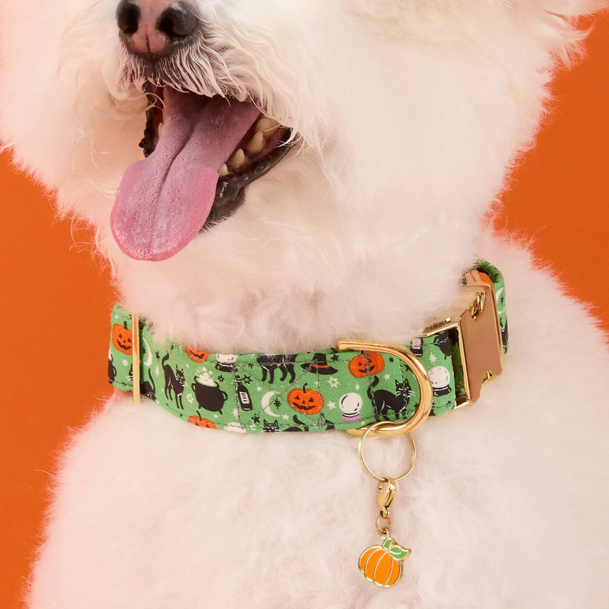 Pumpkin Collar Charm from The Foggy Dog