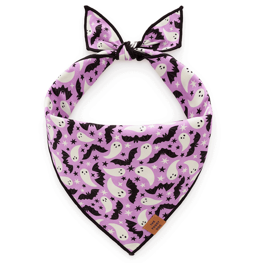 Spooky Season Reversible Dog Bandana view 1