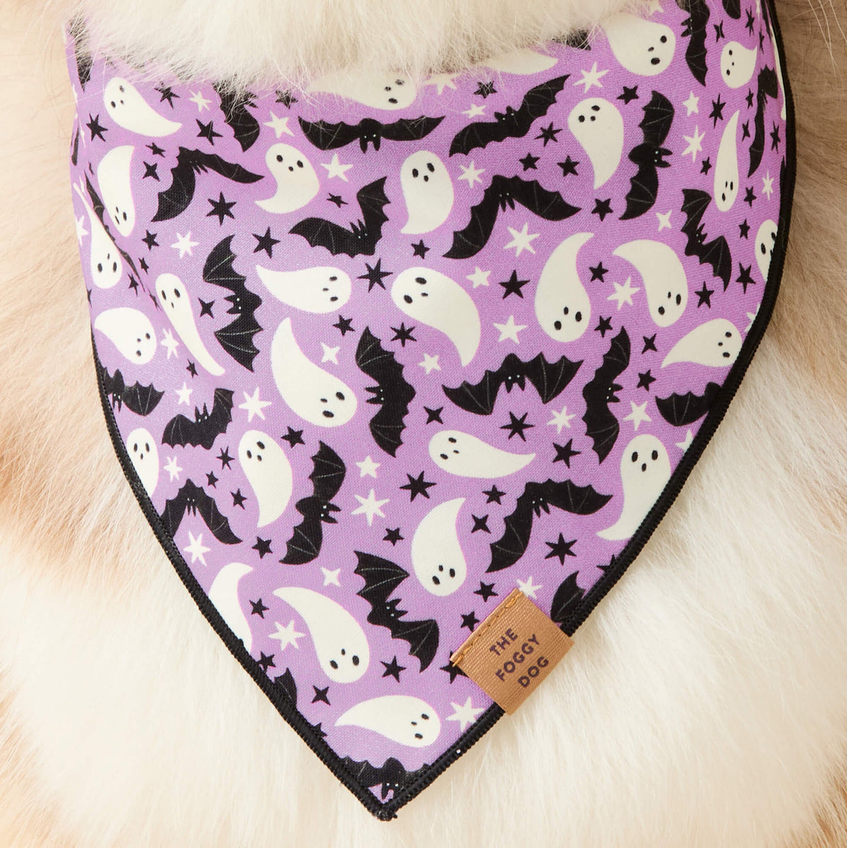 Spooky Season Reversible Dog Bandana from The Foggy Dog
