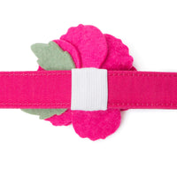 Peony Dog Collar Flower Set from The Foggy Dog