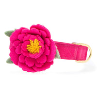 Peony Dog Collar Flower Set from The Foggy Dog