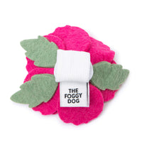 Peony Dog Collar Flower from The Foggy Dog