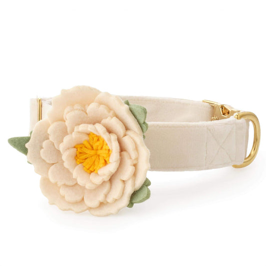 Ivory Peony Dog Collar Flower Set view 1