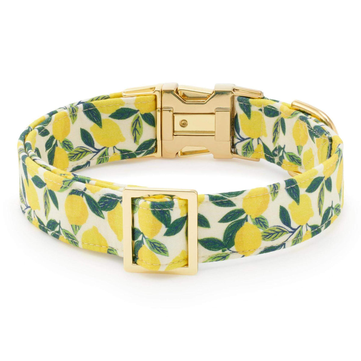 Lemon Zest Dog Collar from The Foggy Dog