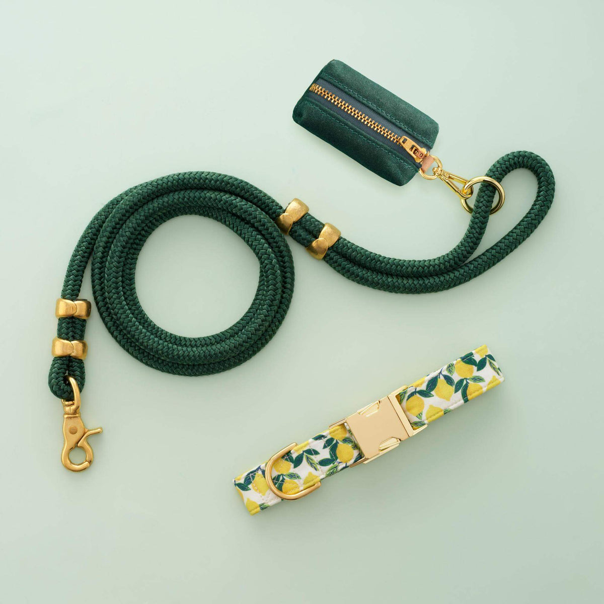 Lemon Zest Collar Walk Set from The Foggy Dog