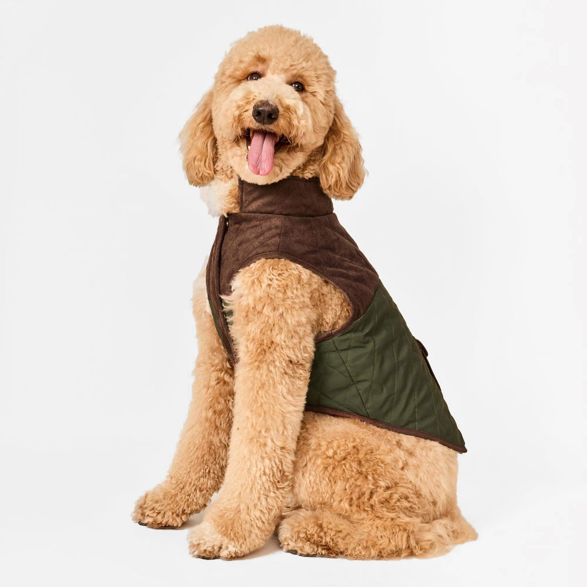 #Modeled by Luna (40lbs) in Large