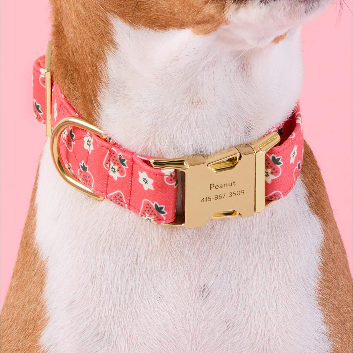 #Modeled by Ricky (26lbs) in Medium