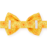 Here Comes the Sun Dog Bow Tie from The Foggy Dog