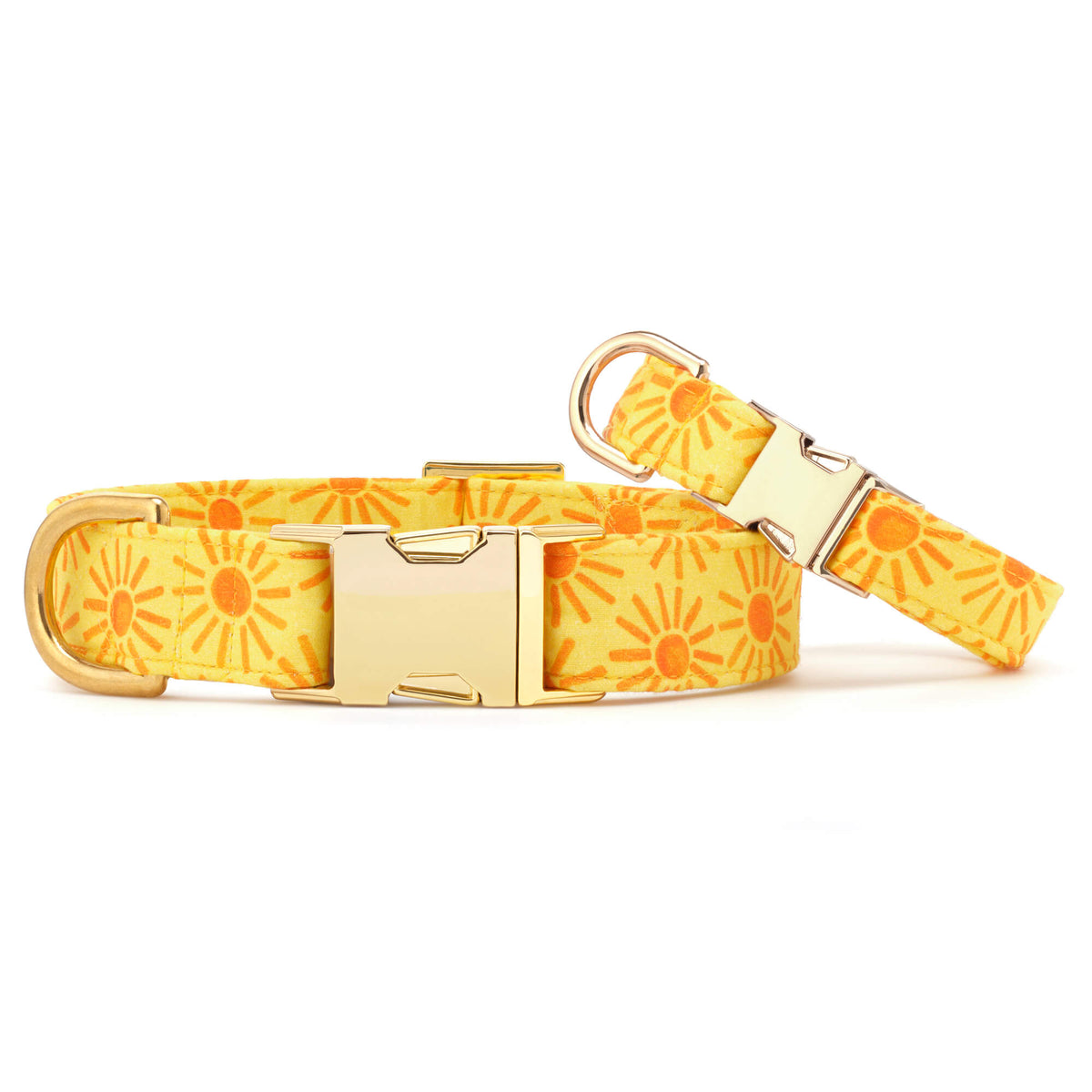 Here Comes the Sun Dog Collar from The Foggy Dog