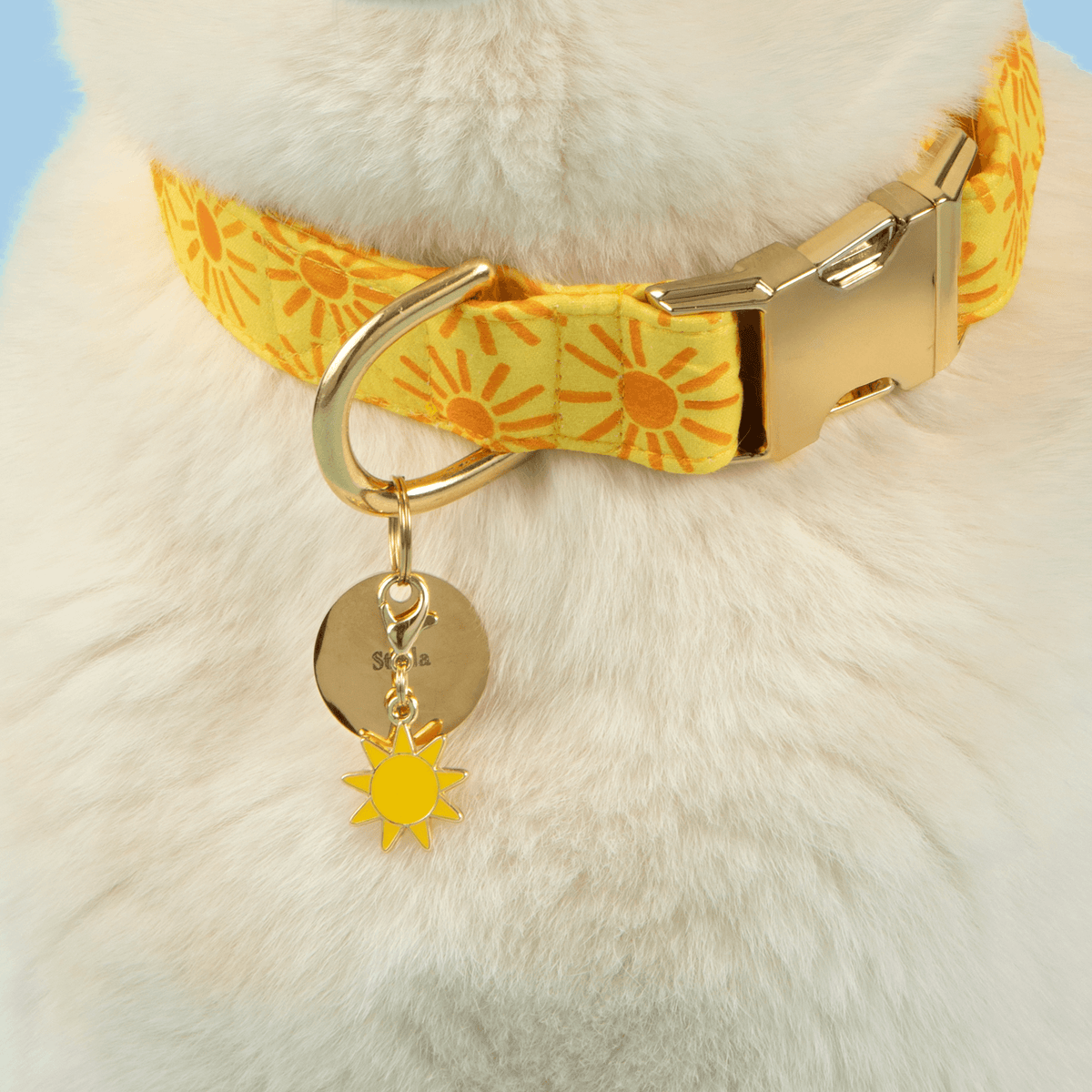 #Modeled by Mirio (34lbs) in Medium