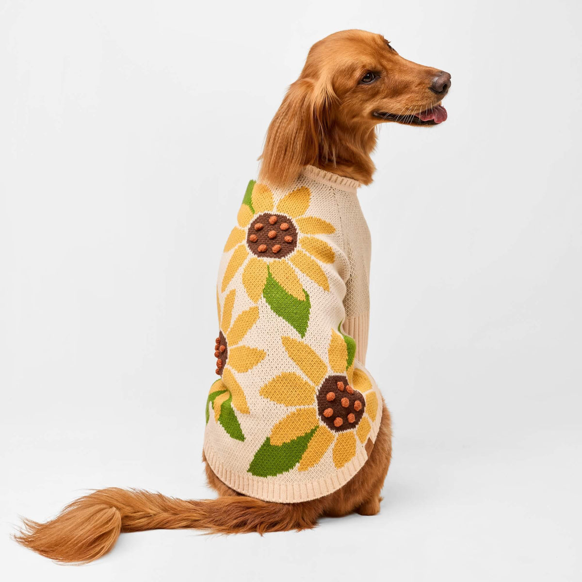 #Modeled by Maple (45lbs) in X-Large