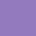 Violet Marine Rope Dog Leash
