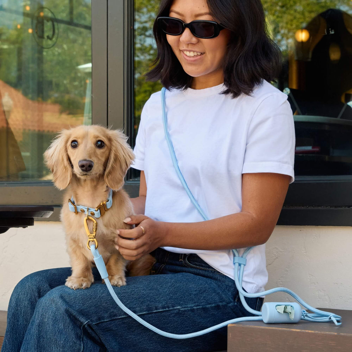 #Honey (11lbs) in an X-Small collar and Petite leash