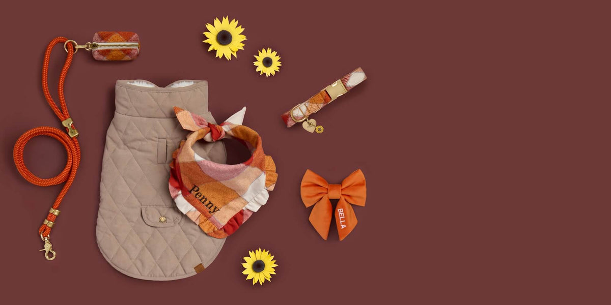 Fawn Sherpa-Lined Reversible Dog Jacket, Pumpkin Spice Plain Flannel Ruffled Bandana, Waste Bag Holder, Dog Collar, Cider Marine Rope Leash, Pumpkin Veltet Lady Bow. Heart Pet ID Tag and Sunflower Collar Charm from The Foggy Dog