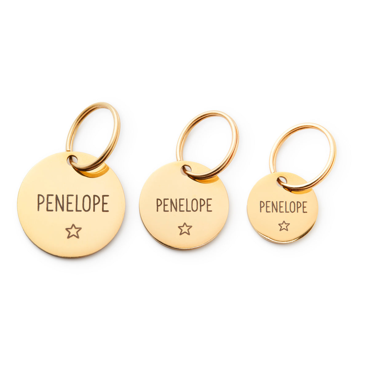 Circle Pet ID Tag: Star Icon view 2