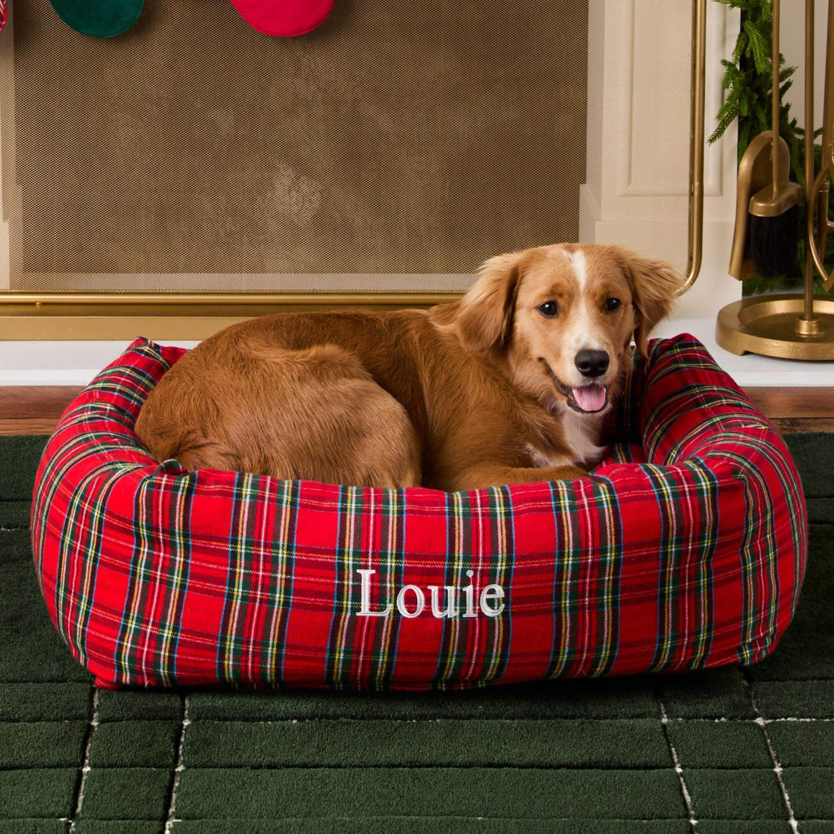 #Modeled by Noe (27lbs) in Large