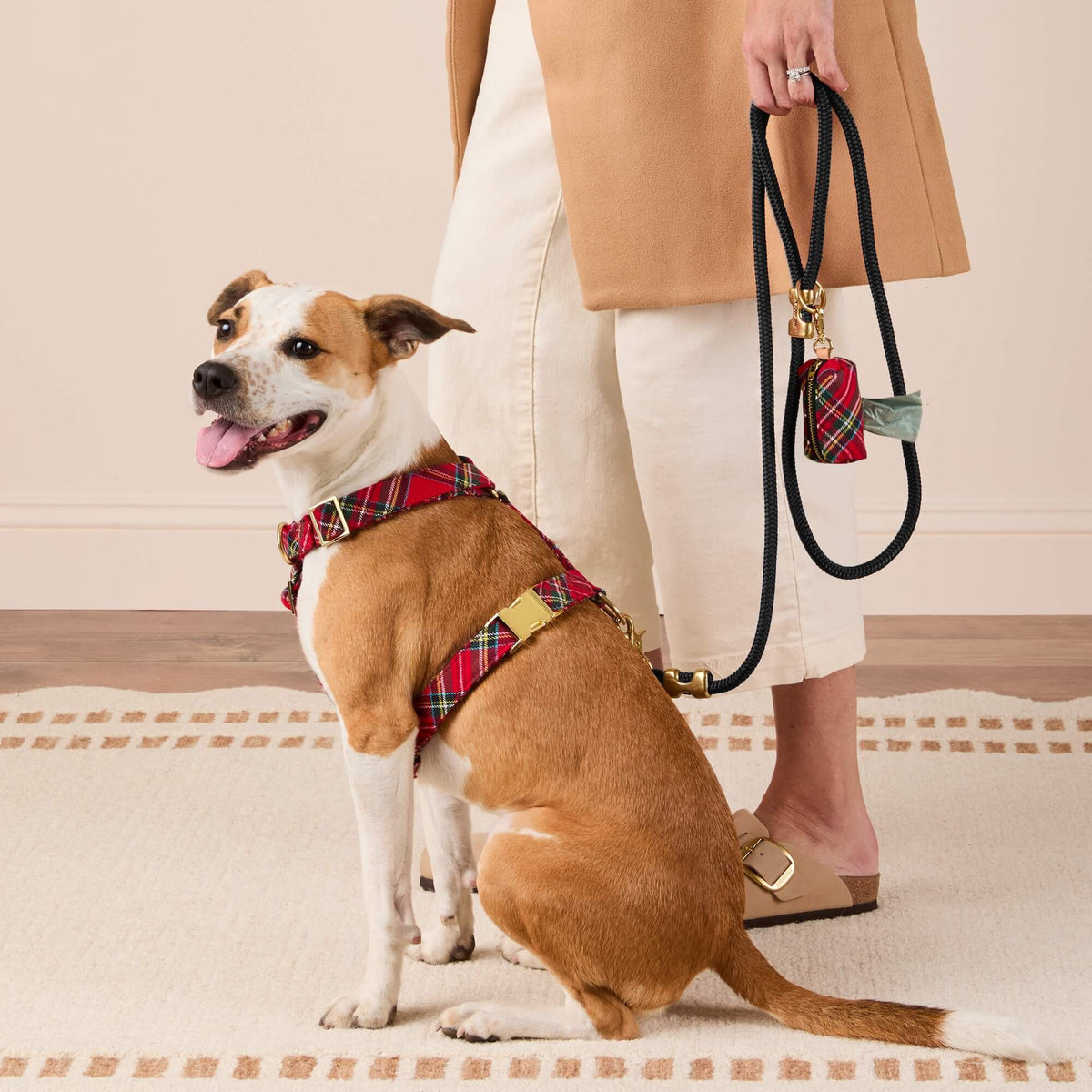 #Modeled by Sadie (27lbs) in a Medium harness and Standard leash
